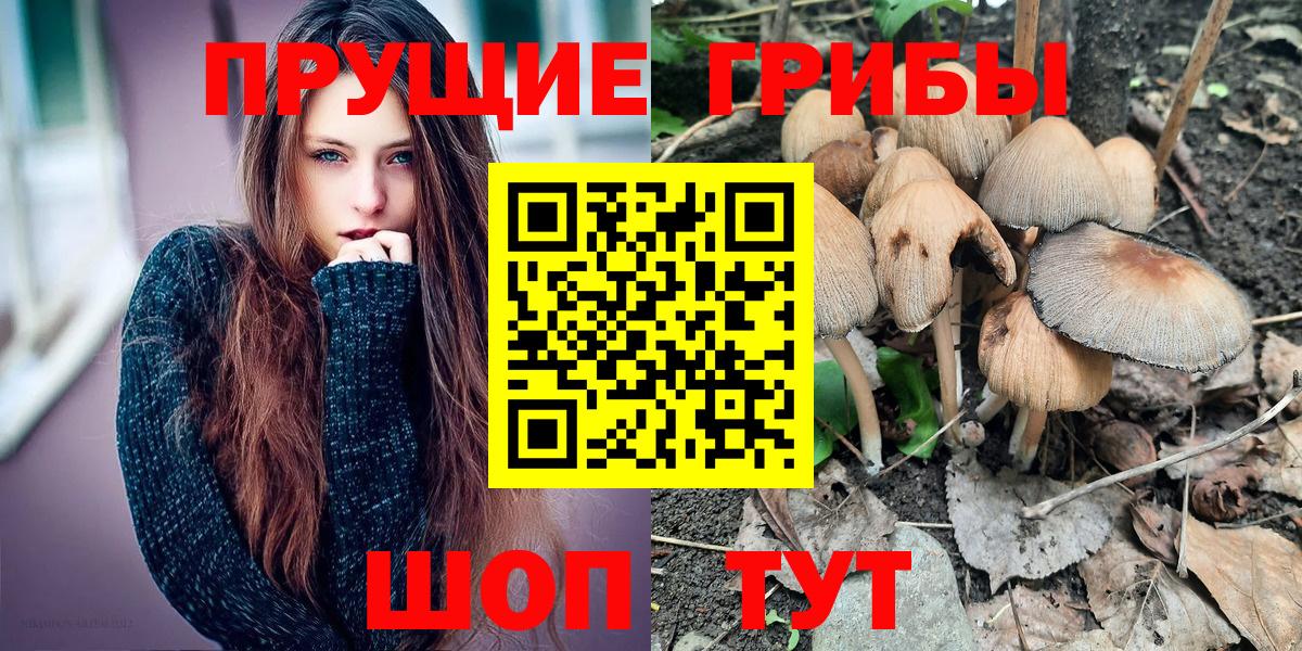 Псилоцибиновые грибы Psilocybe Минеральные Воды